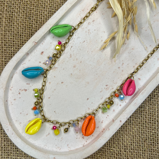 Coquillage - collier
